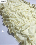 Pashmina Shawl Elegant And Beautiful Zarri Border Shawl