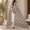 Winter Pashmina Block Print With Handmade Soi Embroidery Shawl