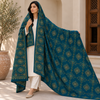 Winter Pashmina Block Print With Handmade Soi Embroidery Shawl