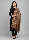 Pashmina Shawl Elegant And Beautiful Banarsi Shawl With Sequence And Velvet Touch Excellent Quality Pashmina