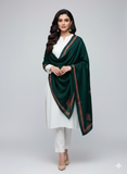 Stuff Pashmina Shawl Elegant And Beautiful Hand Made Kashmiri Embroidery With Block Print Shawl