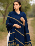 Stuff Pashmina Shawl Elegant And Beautiful Banarsi Shawl With Sequence And Velvet Touch